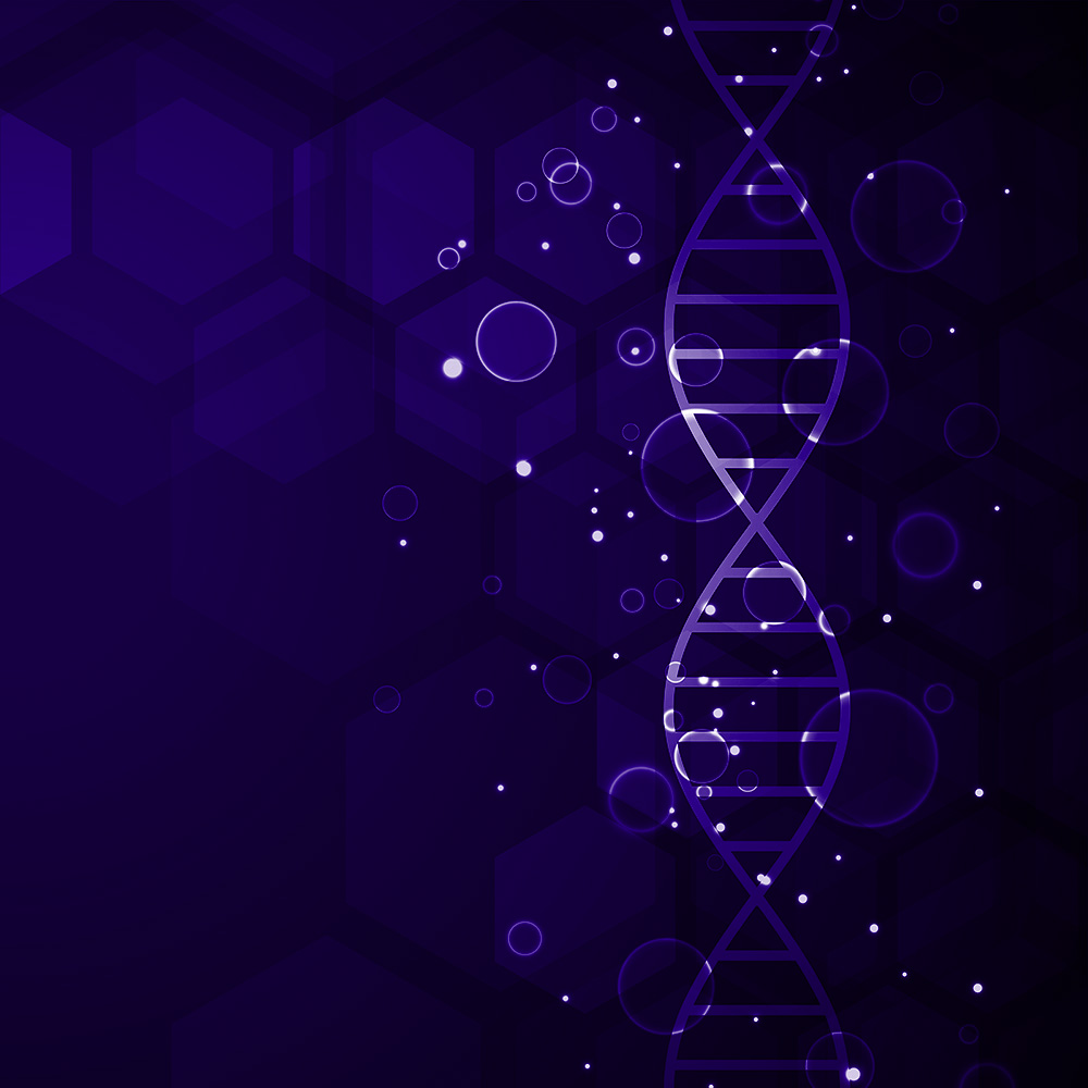 TAL Ventures Header Image